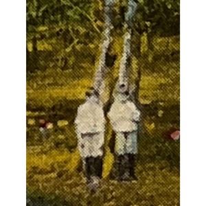 Antique 1915 Litho Ephemera Postcard Scene On Pine Lake With Twins Boys Fishing